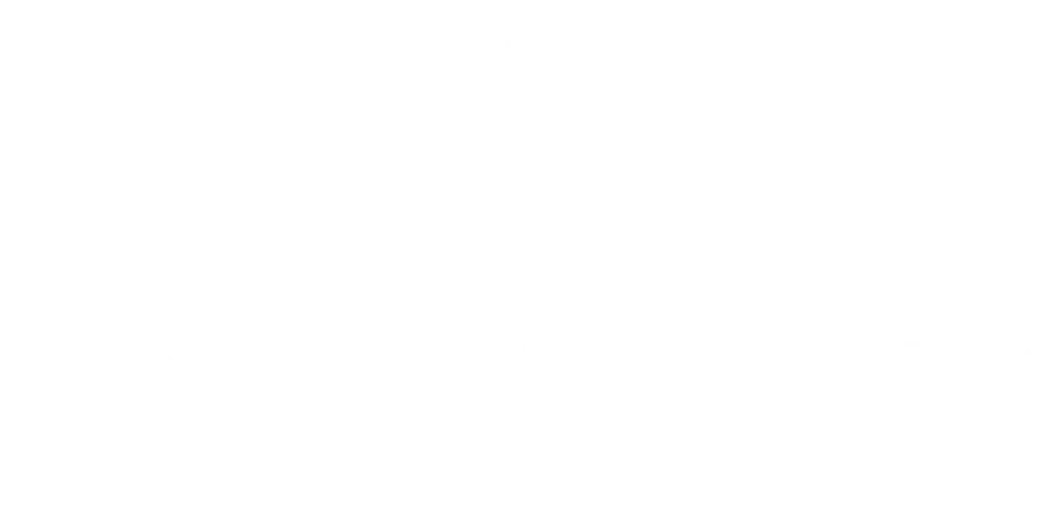 The Hormone Fitness logo in white.