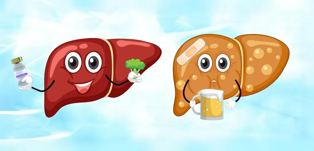 A healthy liver and an unhealthy liver side by side on a blue background.