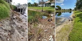 Three scenes of water edges: one with a dock, one with a small puddle, and one with a lake reflecting the sky.