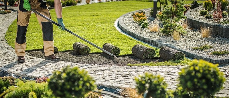 A person in work gear rakes soil in a garden, placing rolls of sod on the ground to install a new lawn.