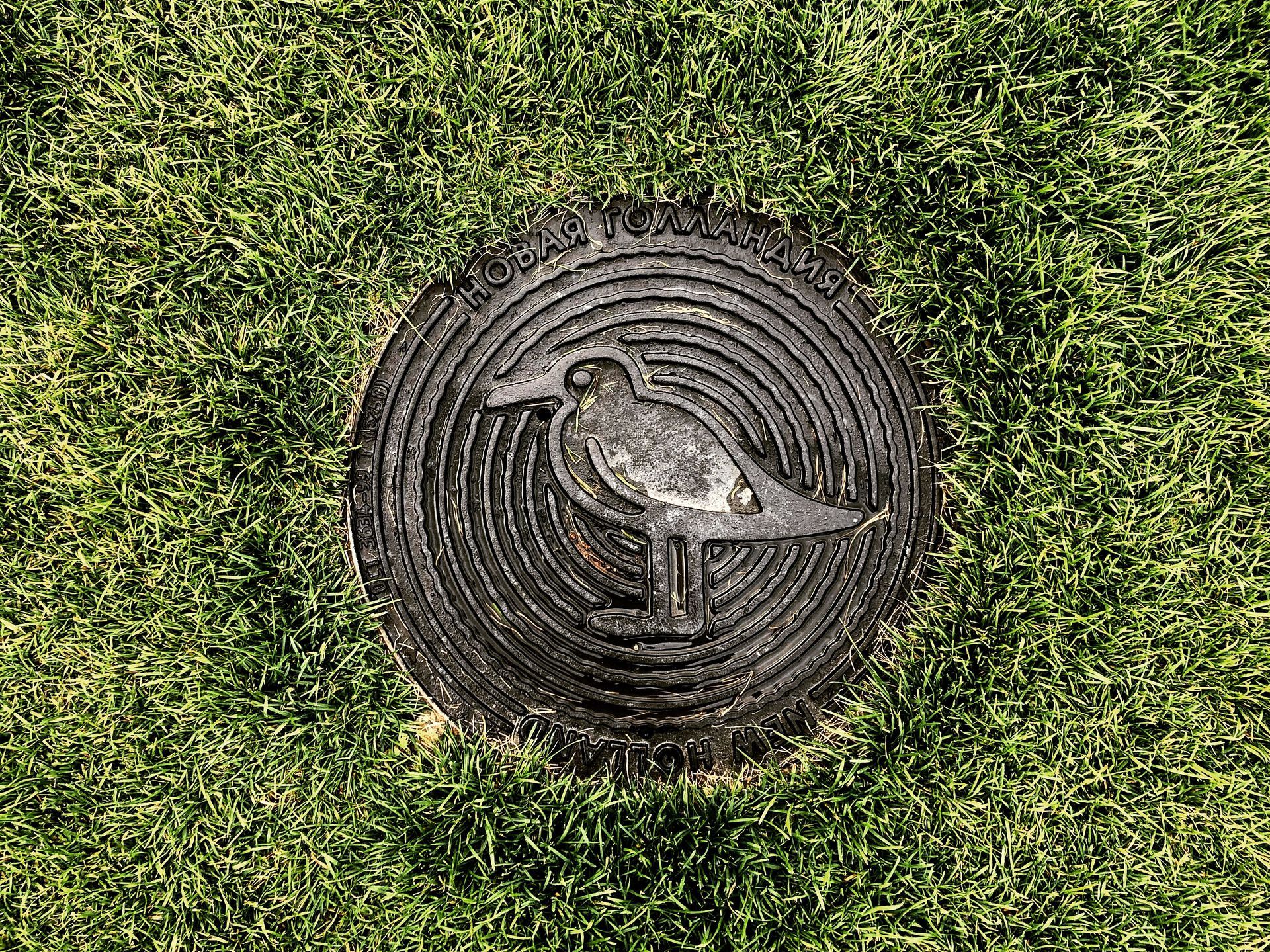Bird standing on a round manhole cover in grass