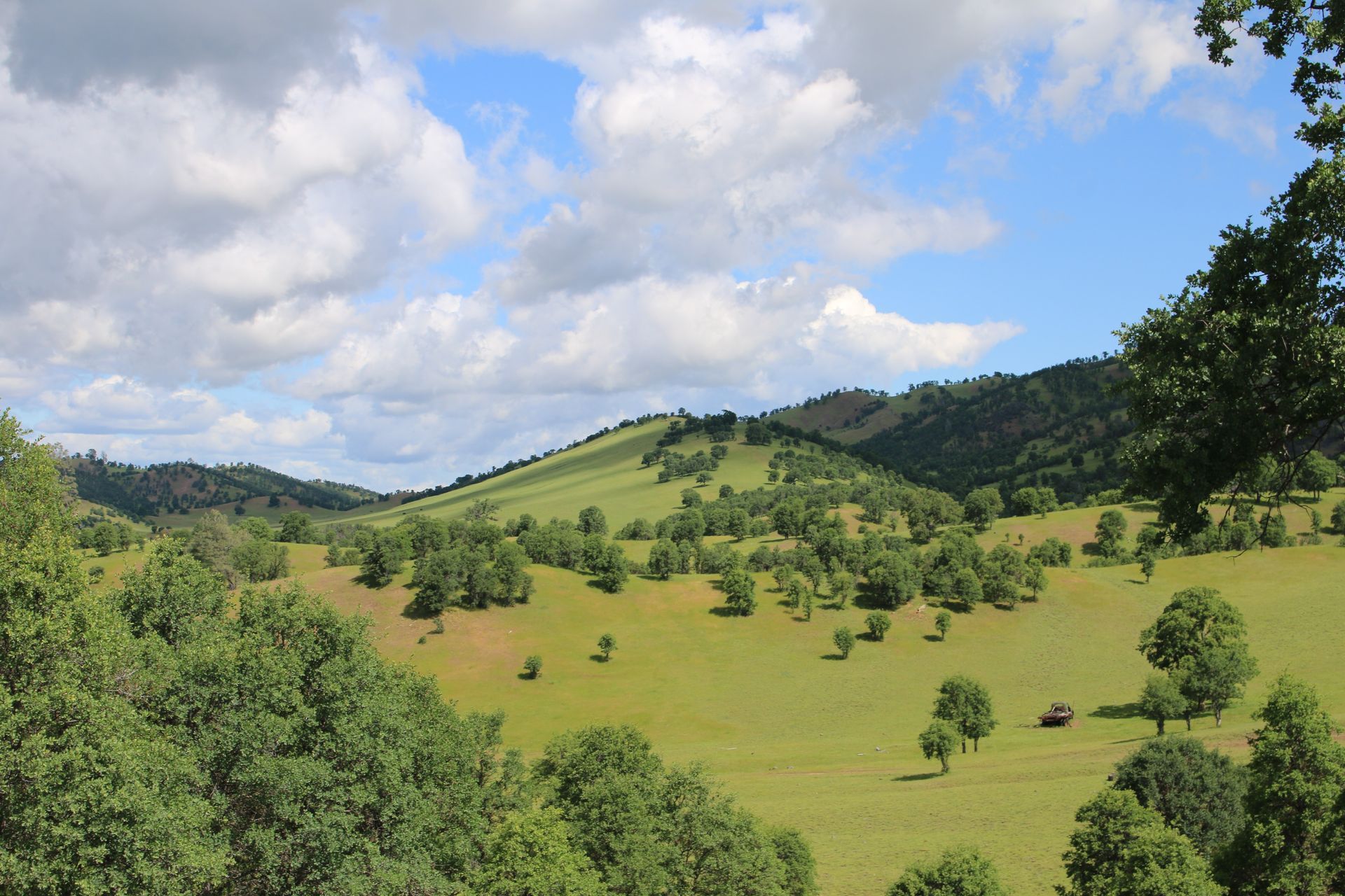 A lush green field with trees and mountains in the background