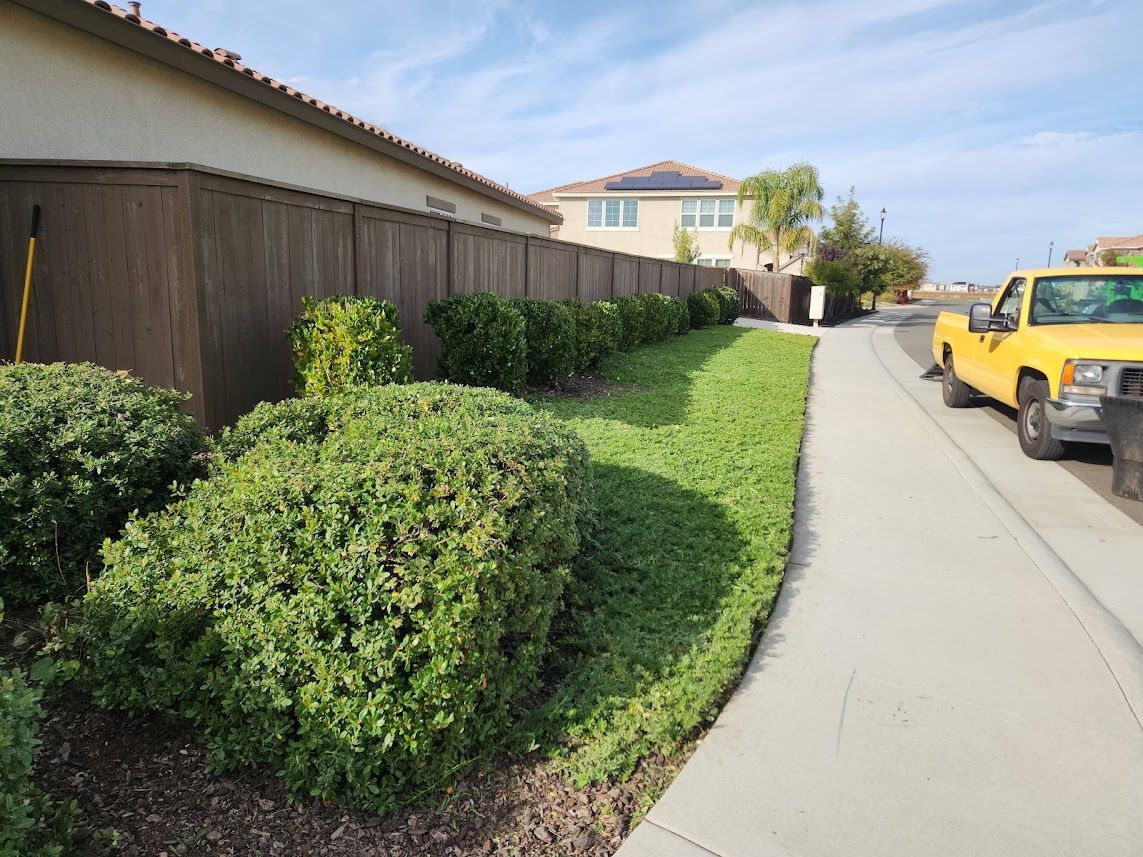 Landscape Maintenance