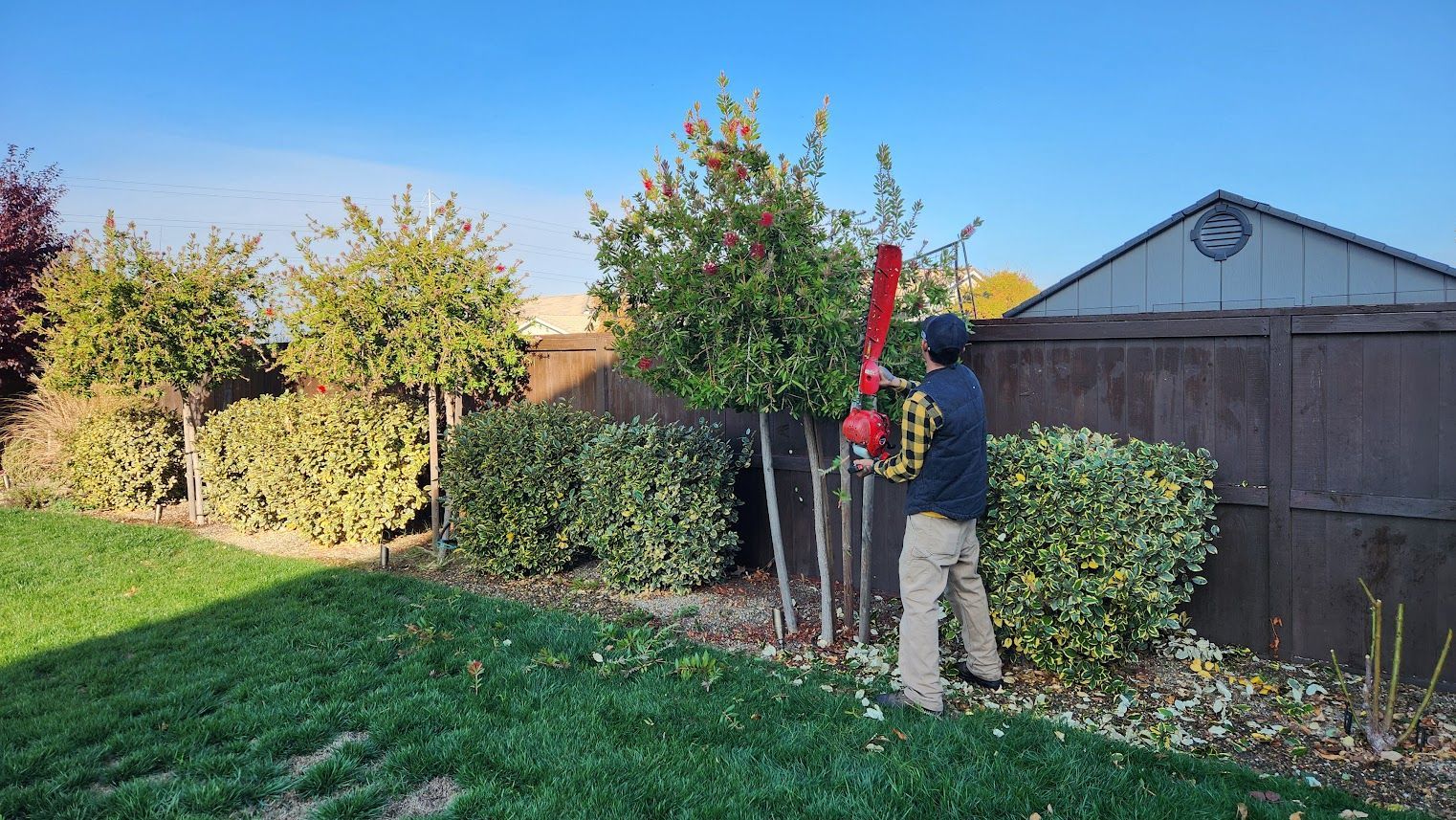 Landscape Maintenance