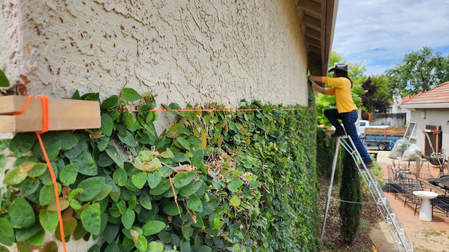 Landscape Maintenance