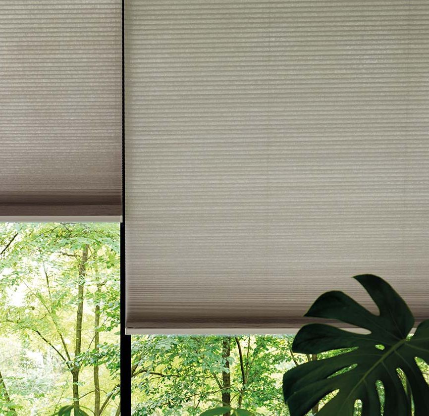 Blinds from Galaxy Blinds
