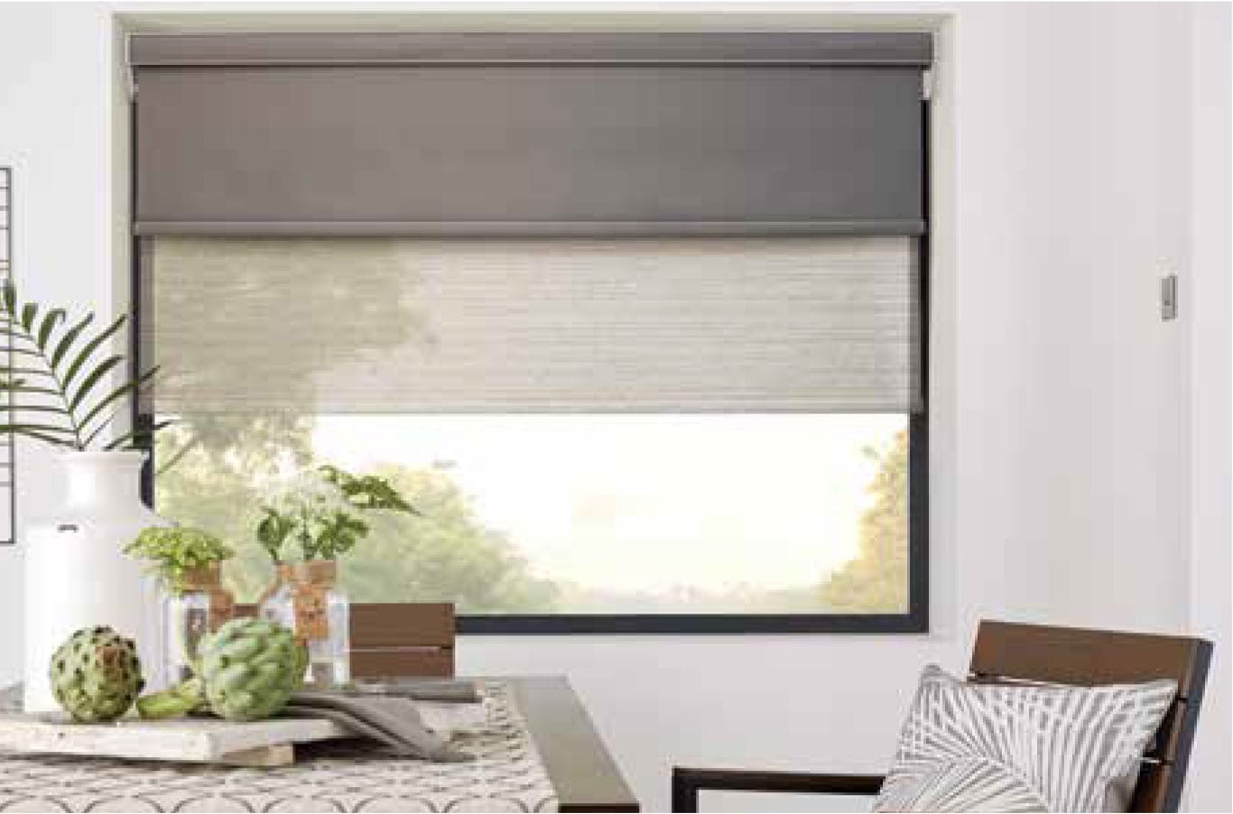 Double Roller Blinds (see image)
