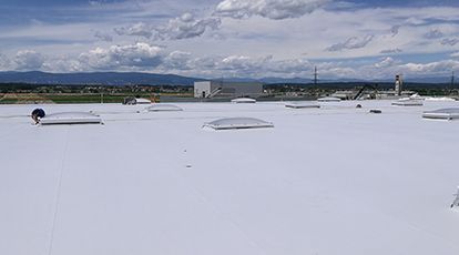 TPO roof