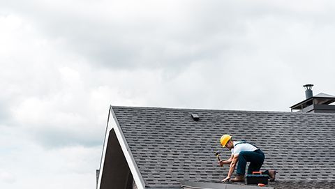 Professional Roof Leak Repair