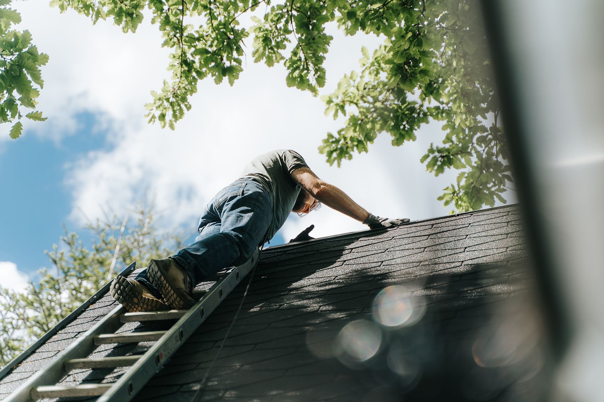 Roof Maintenance