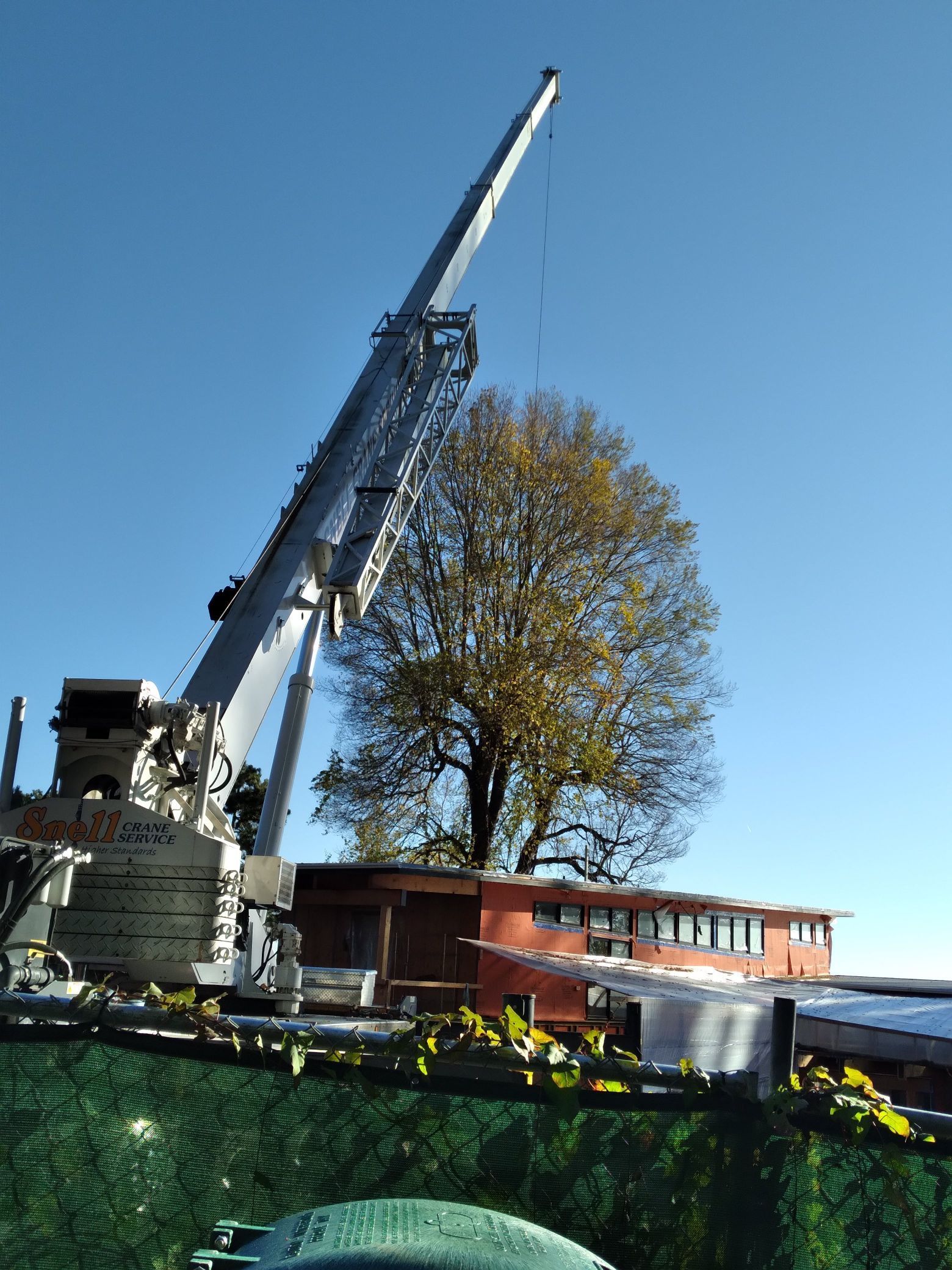 crane tree service