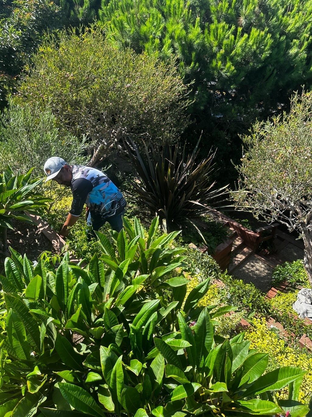 A man is working in a garden surrounded by lots of plants.