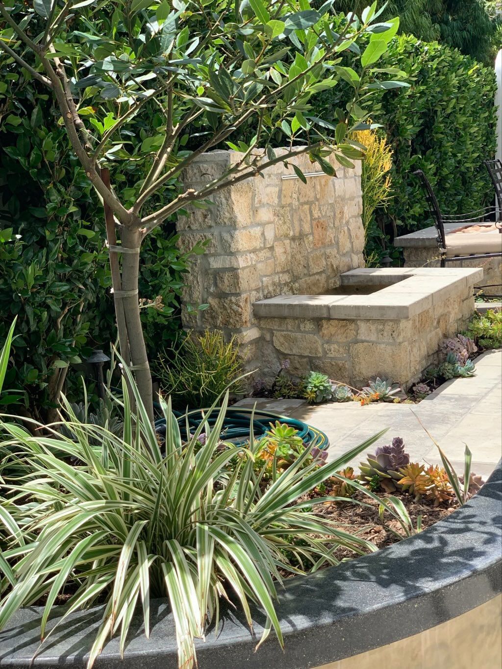 A garden with lots of plants and trees and a stone wall.