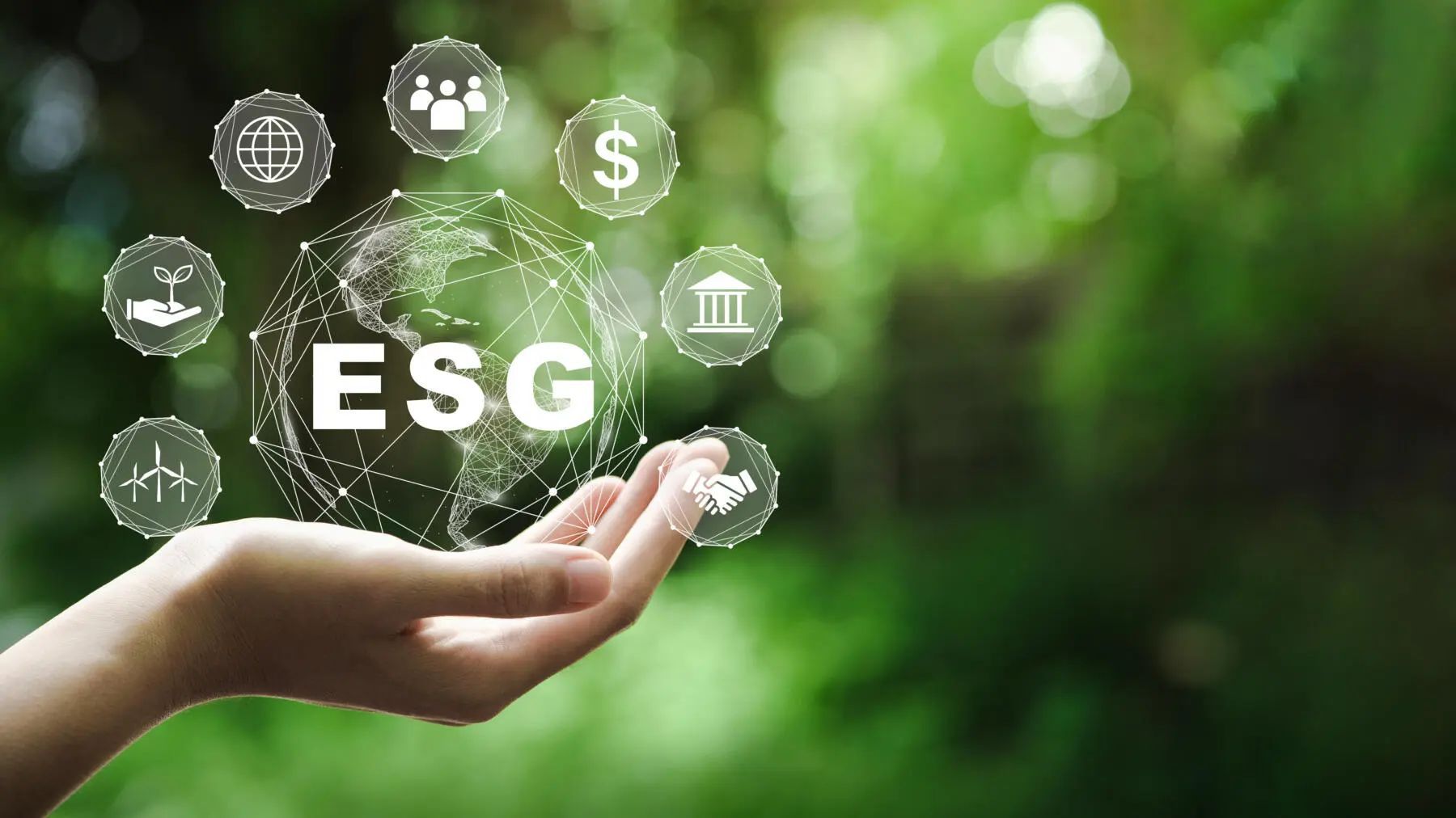 immagine rappresentativa della sostenibilità tramite i criteri ESG