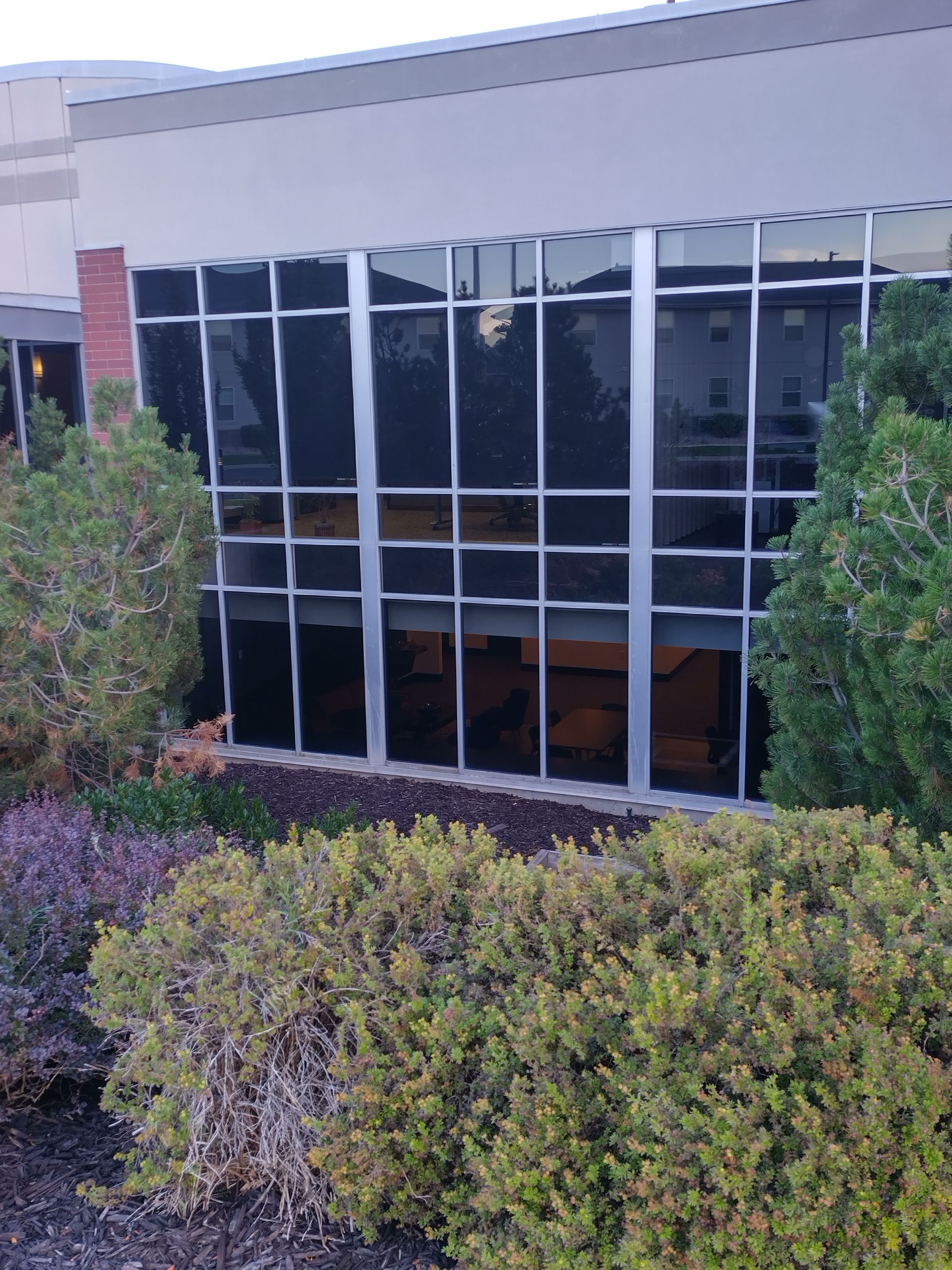 A building with a lot of windows and bushes in front of it