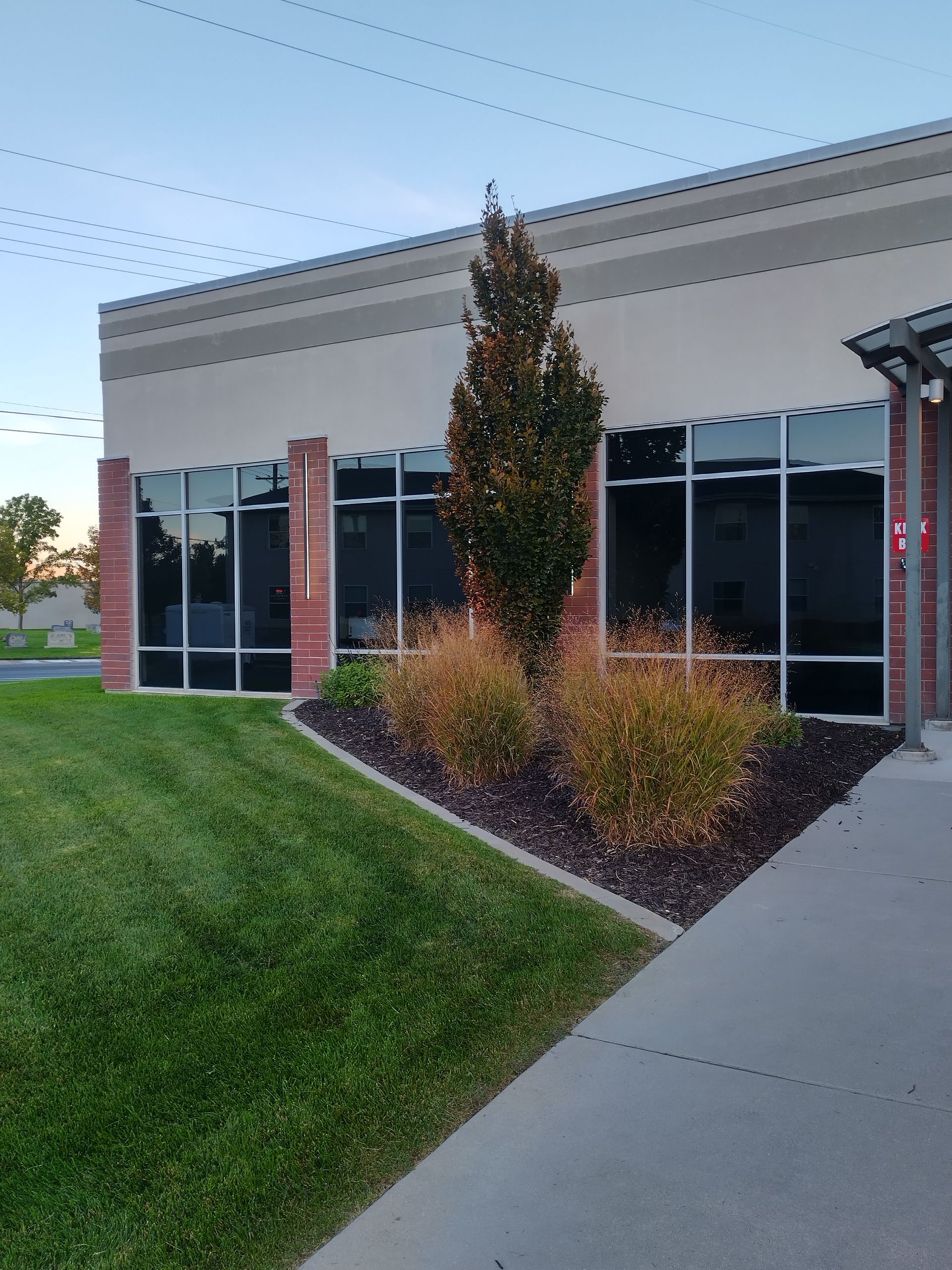 A building with a lot of windows and a tree in front of it