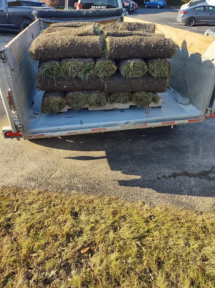 Remorque chargée de rouleaux de gazon ; à l'extérieur par une journée ensoleillée.
