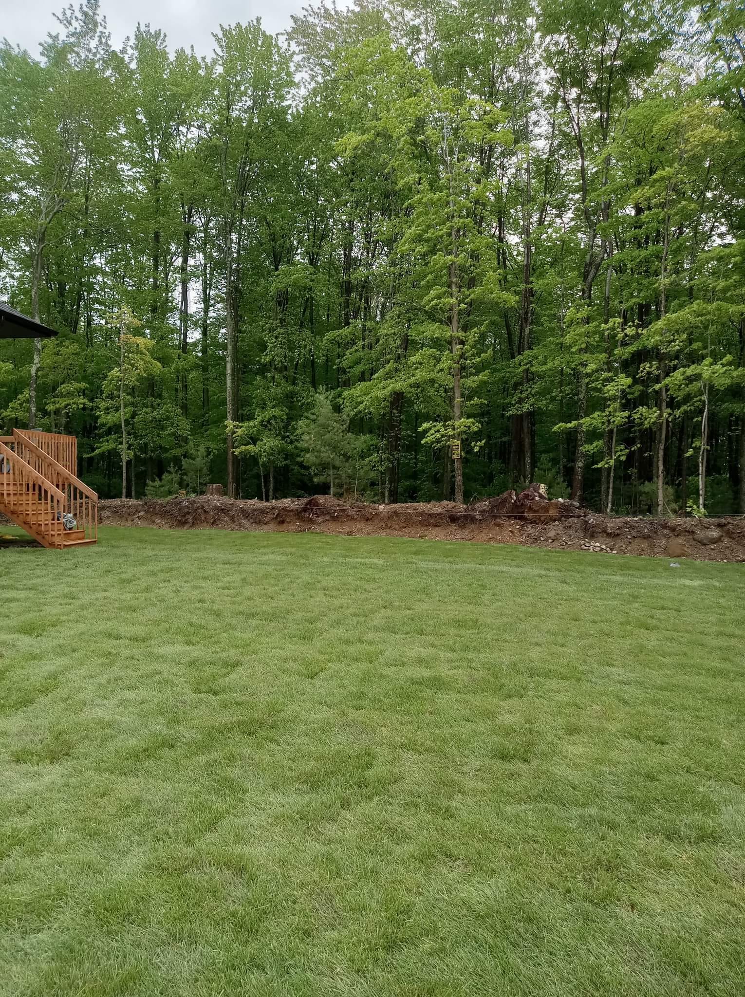 Pelouse verte dans une cour arrière, parcelle de terre près des bois et terrasse en bois.