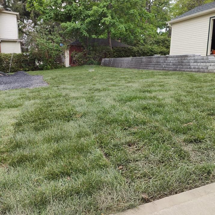 Pelouse verdoyante avec un muret de soutènement et un petit abri de jardin en arrière-plan. Cadre extérieur ensoleillé.