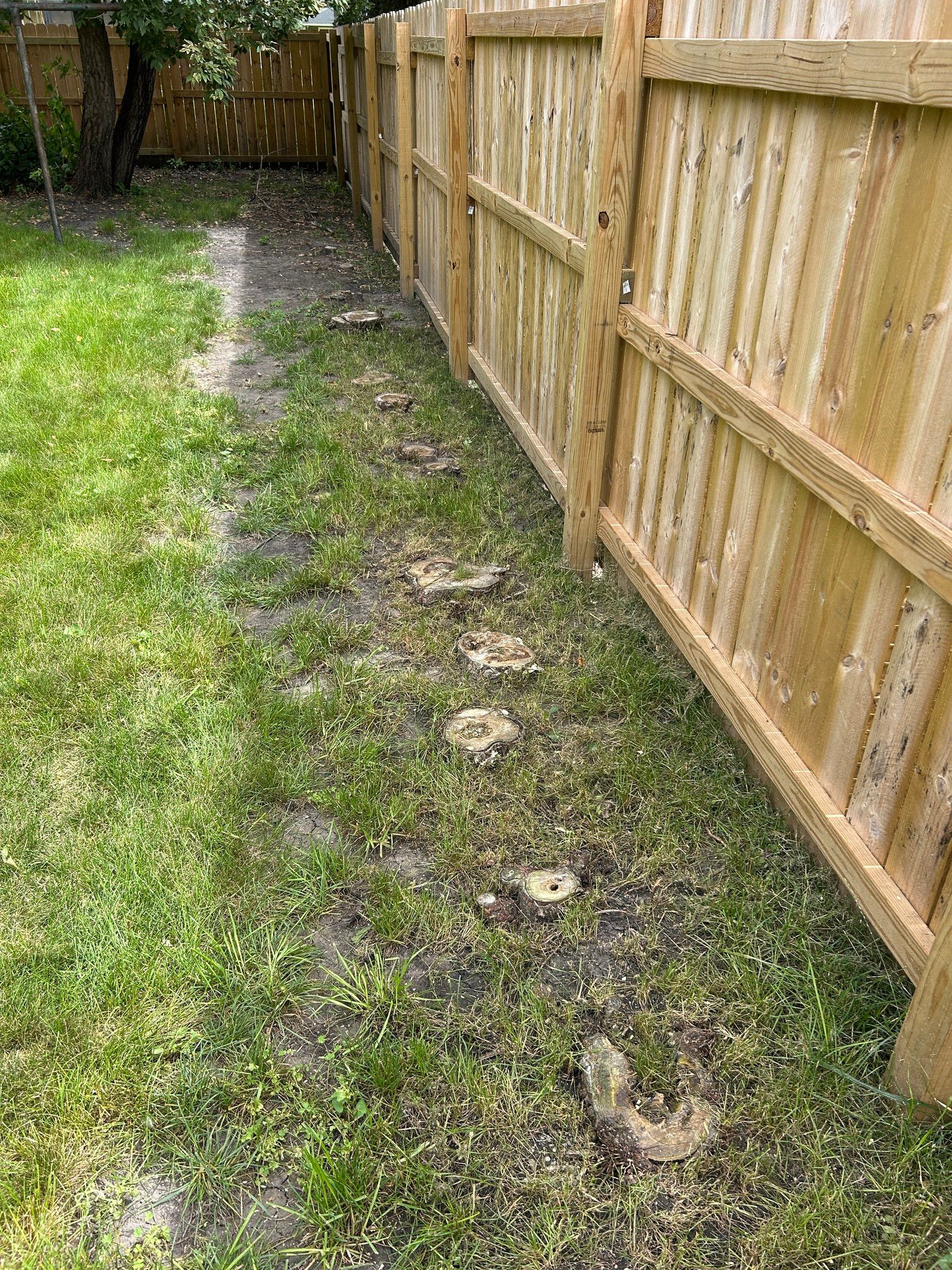 Narrow grassy side yard with muddy path beside a wooden privacy fence