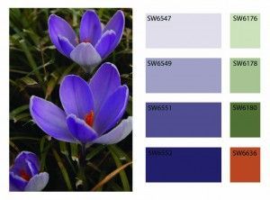 Color Scheme with Swatch Color Codes