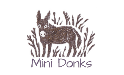 Mini Donks