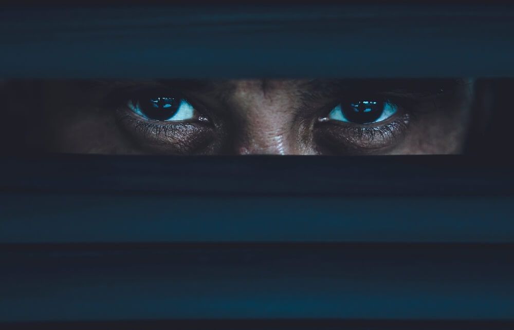 Surveillance services 