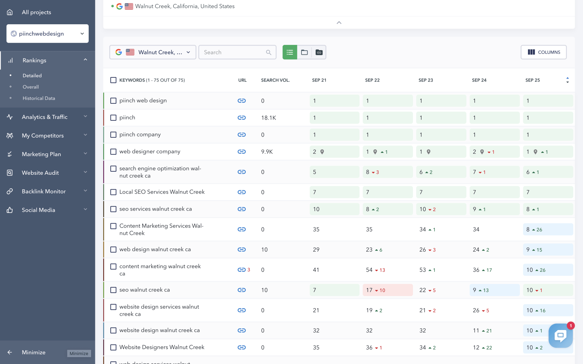 Piinch Web Design Google Rankings Report