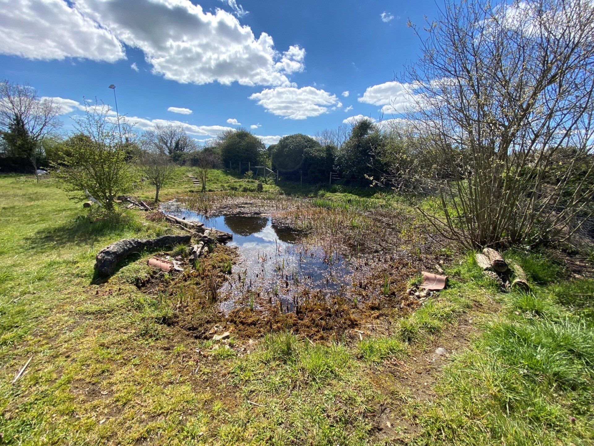 wetlands-the-power-of-the-pledgee-pond