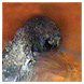 Roof infiltration — Kalamazoo, MI — Roto-Rooter of Southwest Michigan