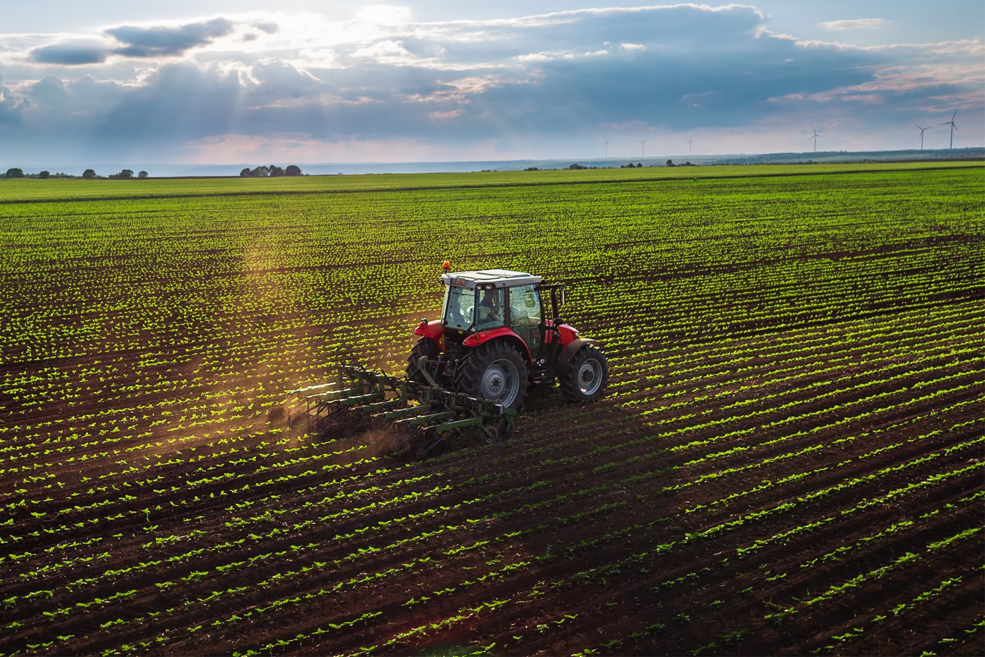 Tractor in Farm