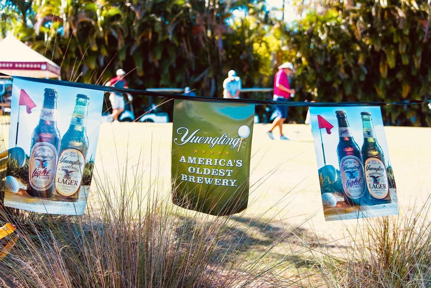 A bunch of flags with pictures of beer bottles on them
