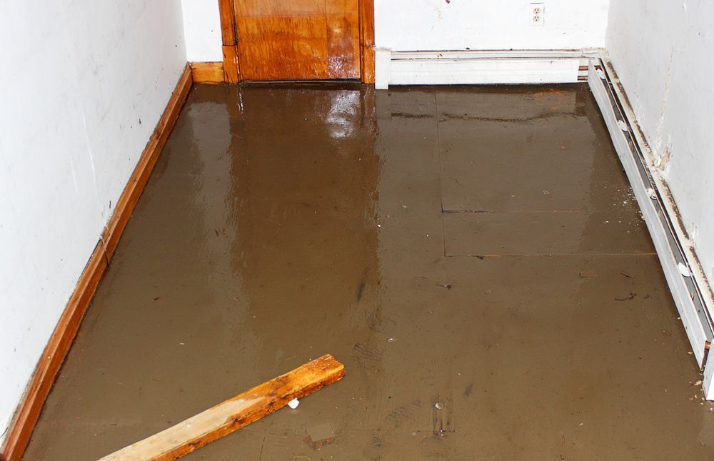 Flooded room: brown water covers floor, wooden trim, door and radiator visible.