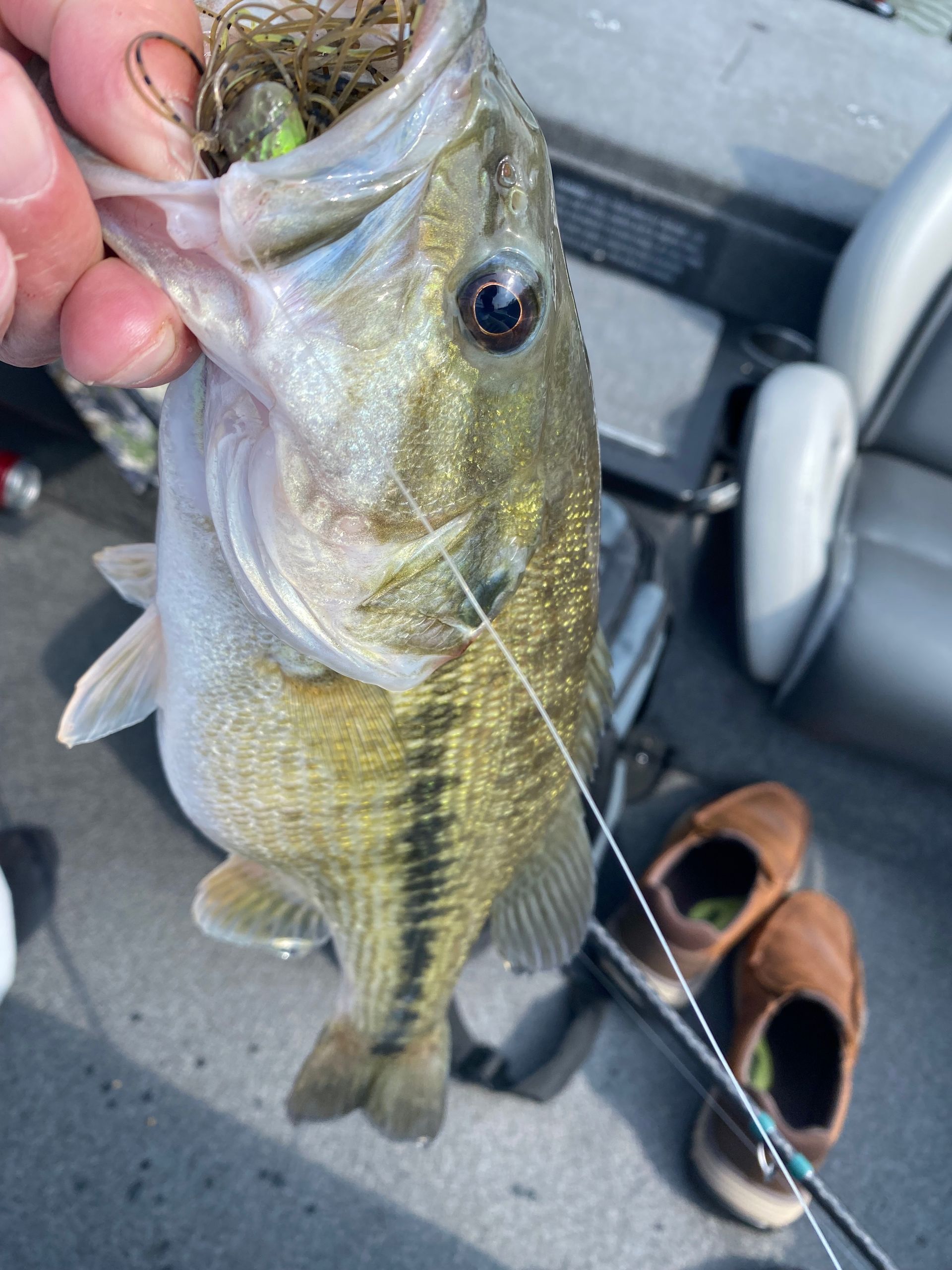 A person is holding a fish with a hook in its mouth.