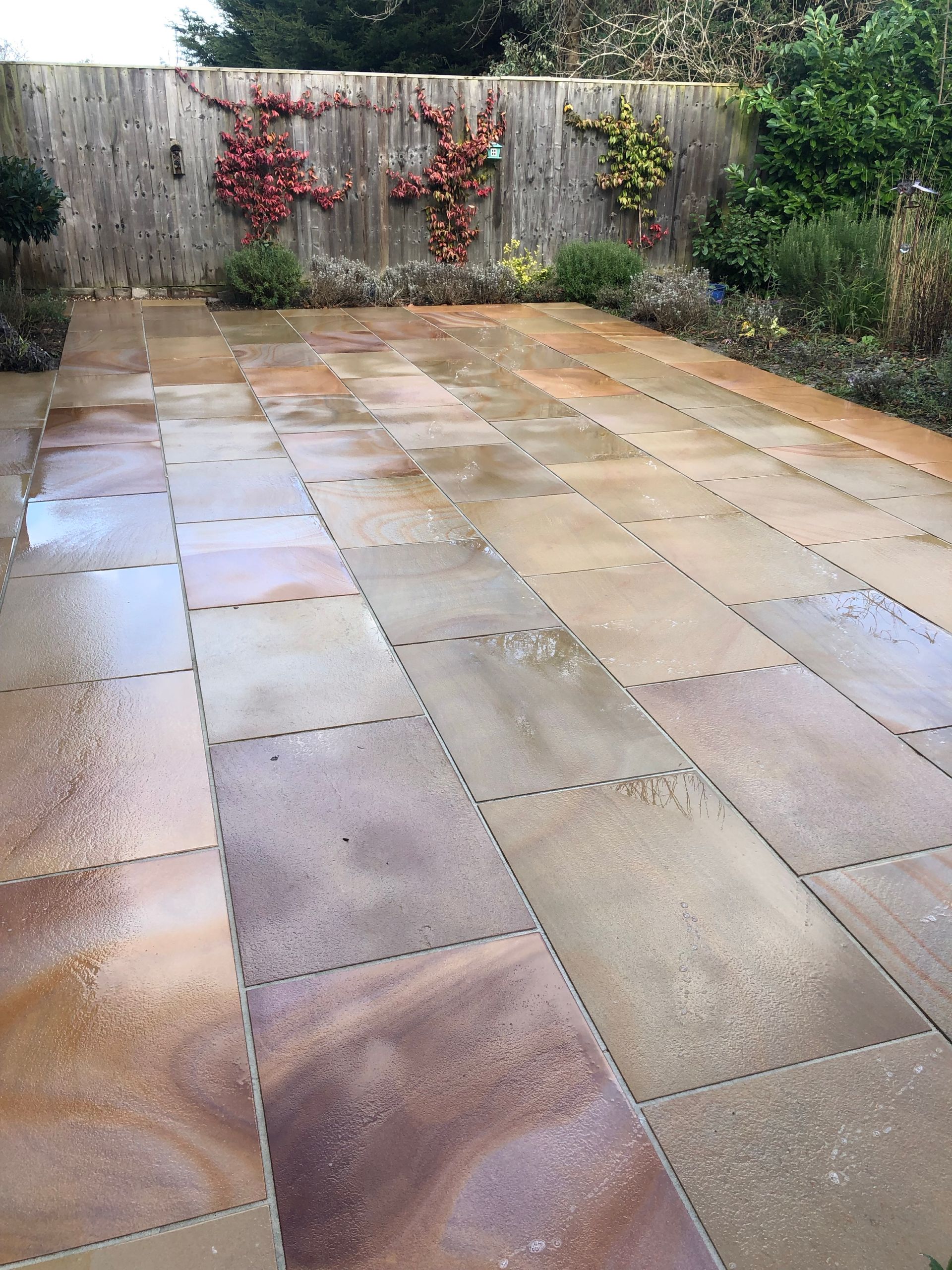 Wet stone patio with plants and wooden fence in the background.