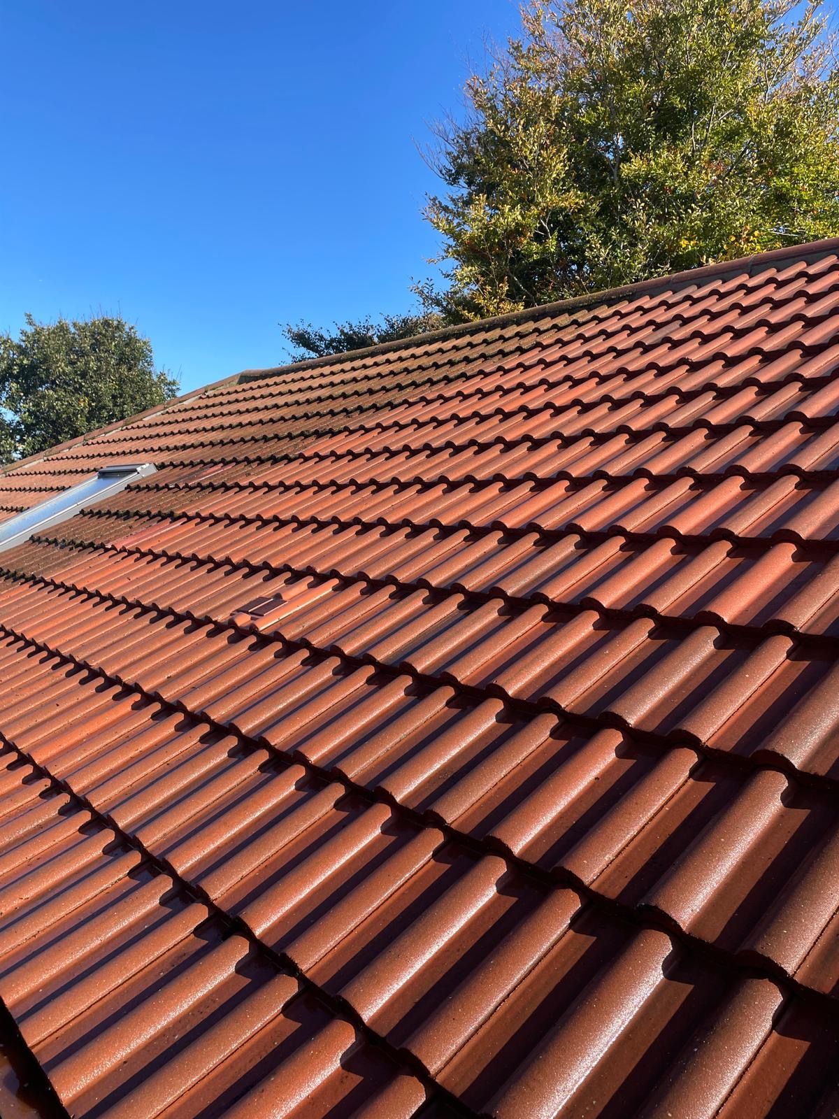 Red tile roof under a clear blue sky, with trees visible in the background.