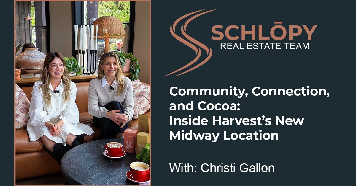 Blog banner for the Schlopy Real Estate Team featuring the text 