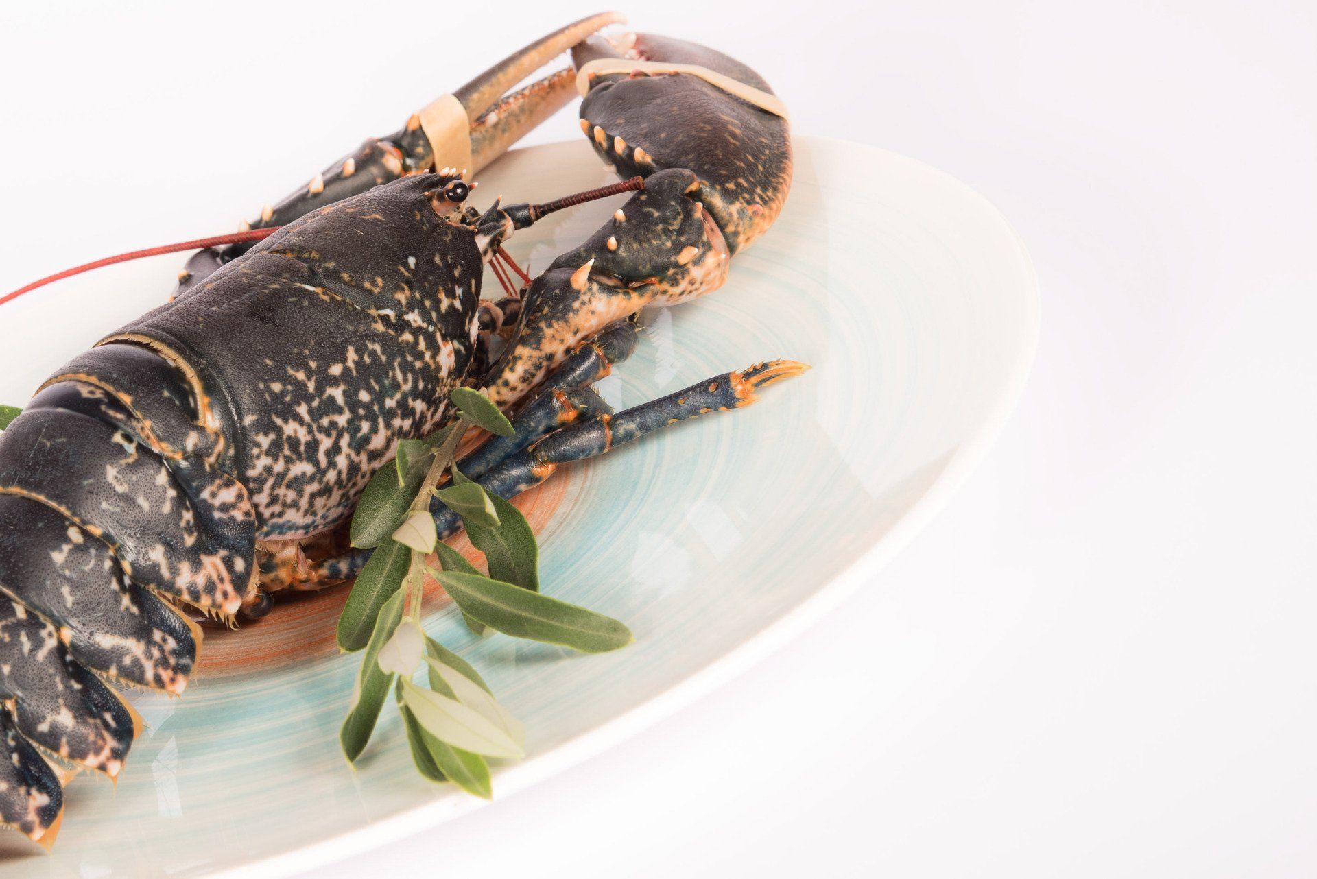 Restaurant gastronomique pas cher Genève