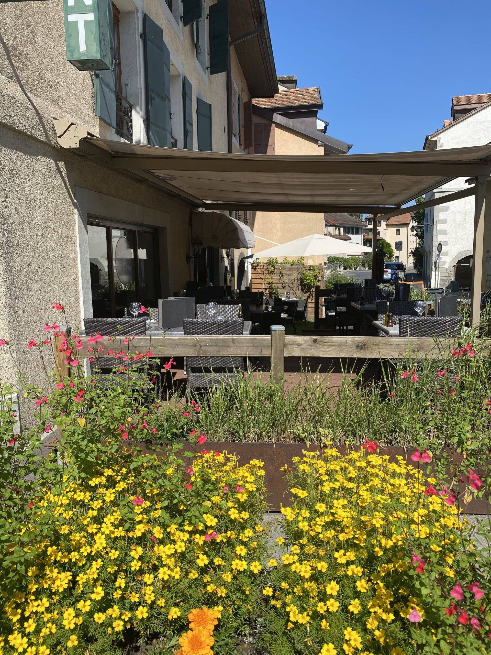 Restaurant terrasse chene bourg