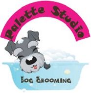 Palette Studio logo