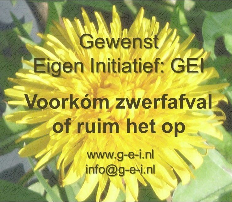 Gewenst Eigen Initiatief