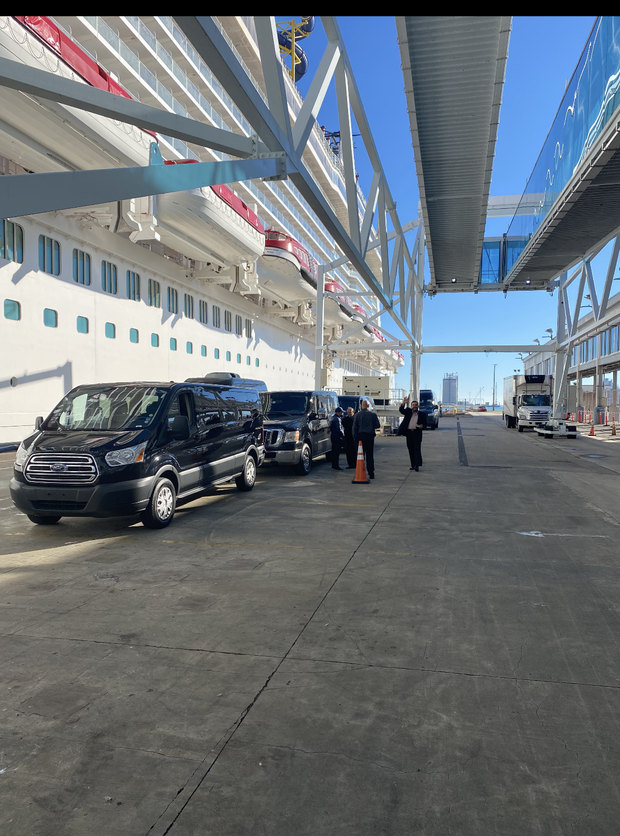 A man is loading luggage into the back of a van.