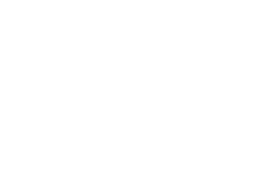 The Commons log - white