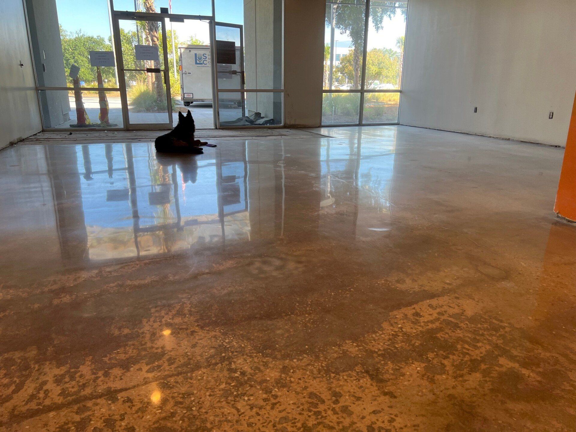 Polished concrete floor reflecting the interior of a building with large windows and a dark object in the center.