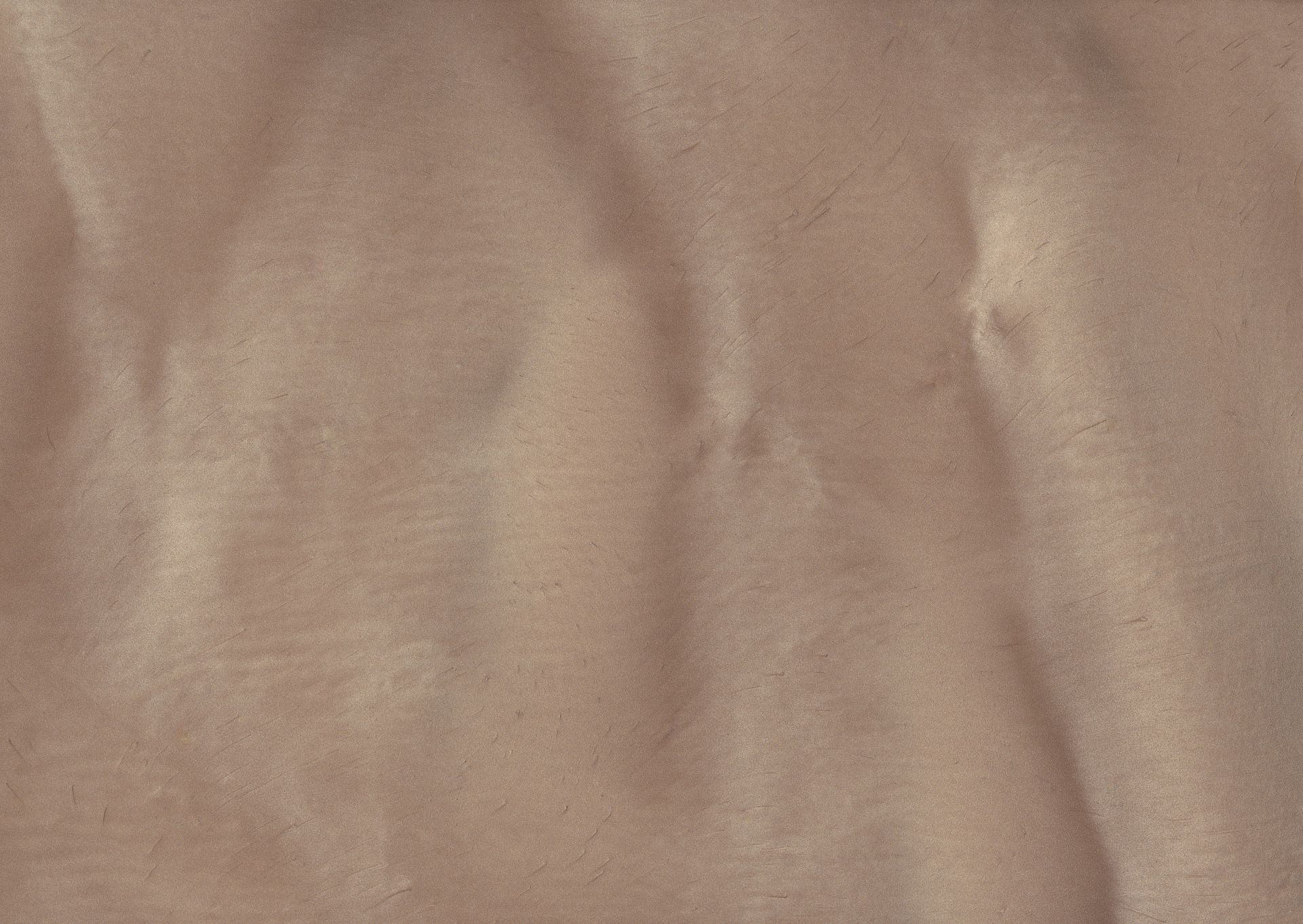 Tan sand with flowing, rippled patterns. Surface has small, speckled texture.