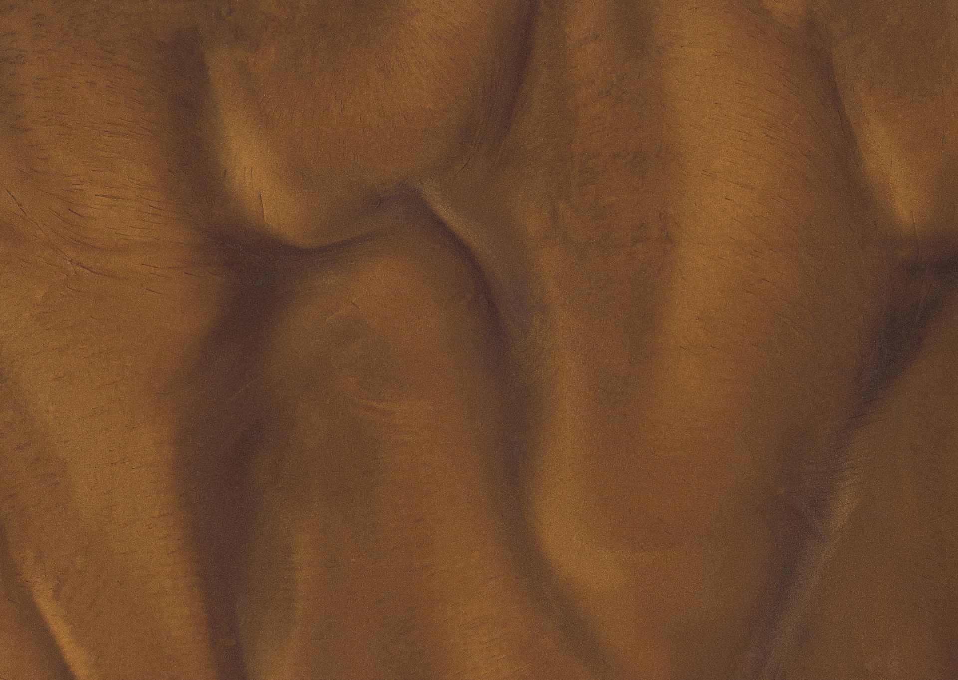 Close-up of rippled brown sand with areas of light and shadow, likely a desert scene.