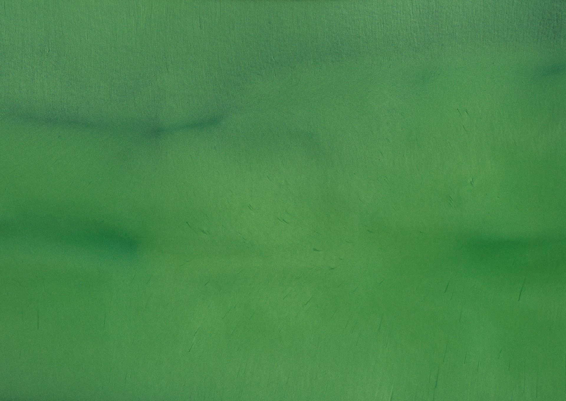 Green background with darker patches and variations in tone.