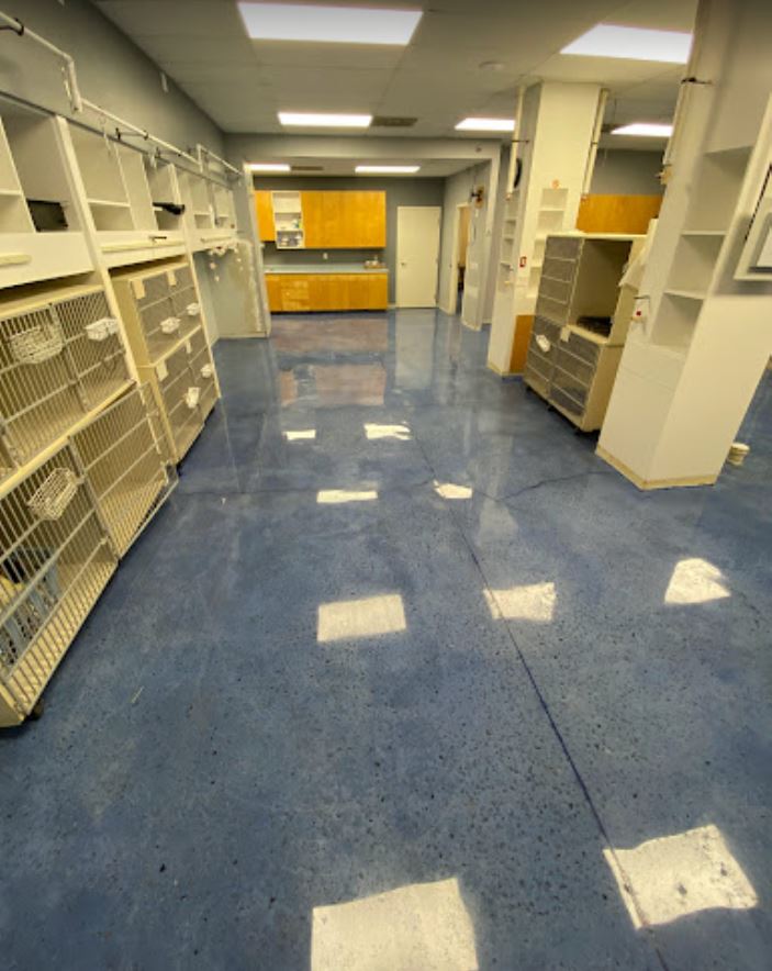 A pet care facility interior featuring a blue polished concrete floor, animal enclosures, and wood cabinets.