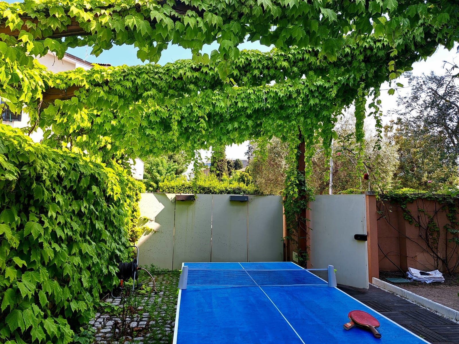 Un tavolo da ping pong sotto un pergolato con una racchetta sopra