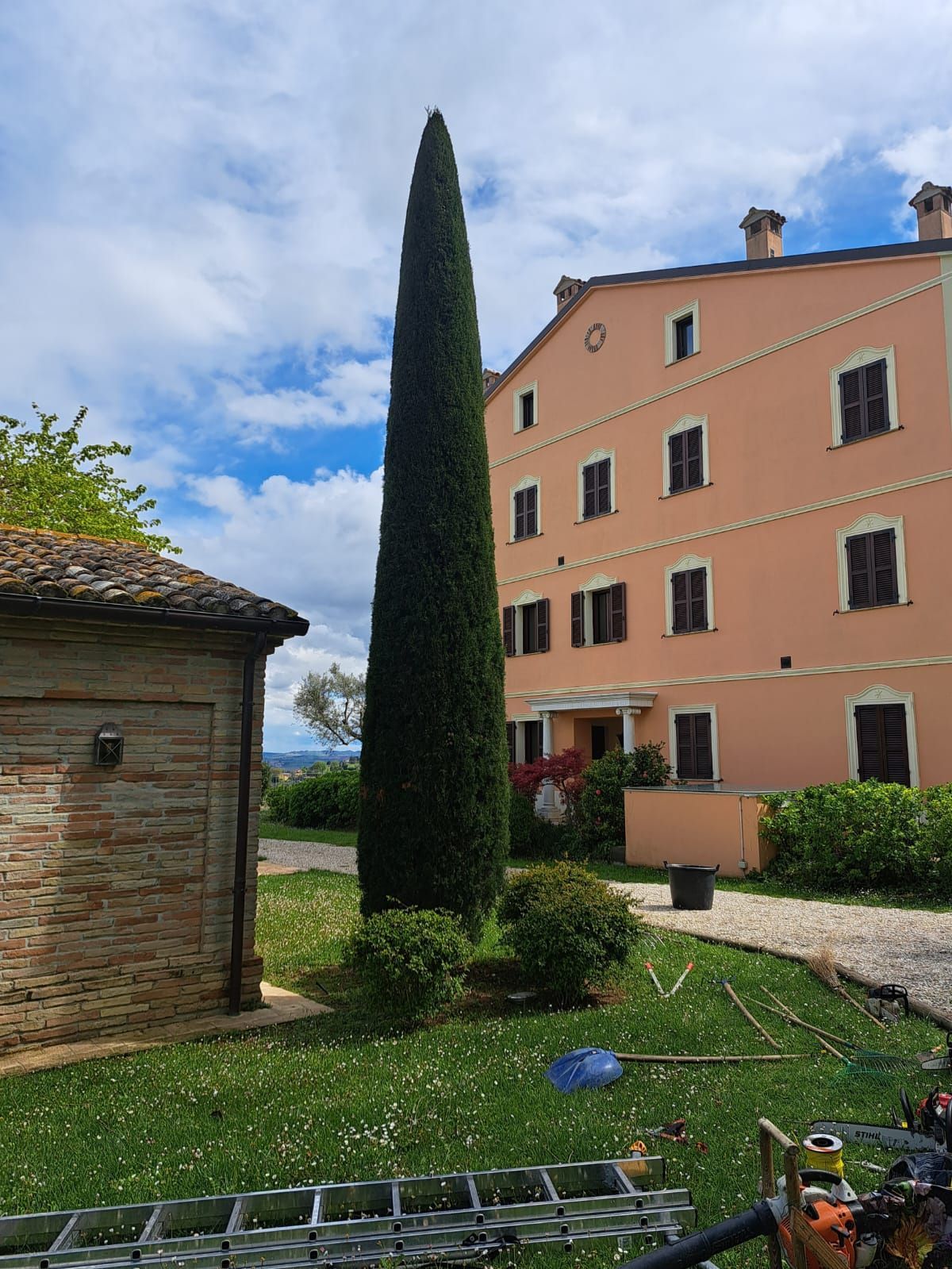 Un grande edificio rosa con un grande albero di fronte